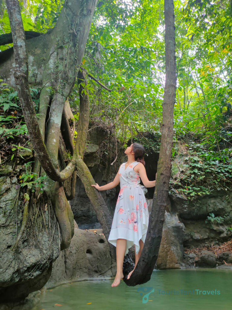 A woman in a floral dress standing in a branch of a tree in Busay falls.