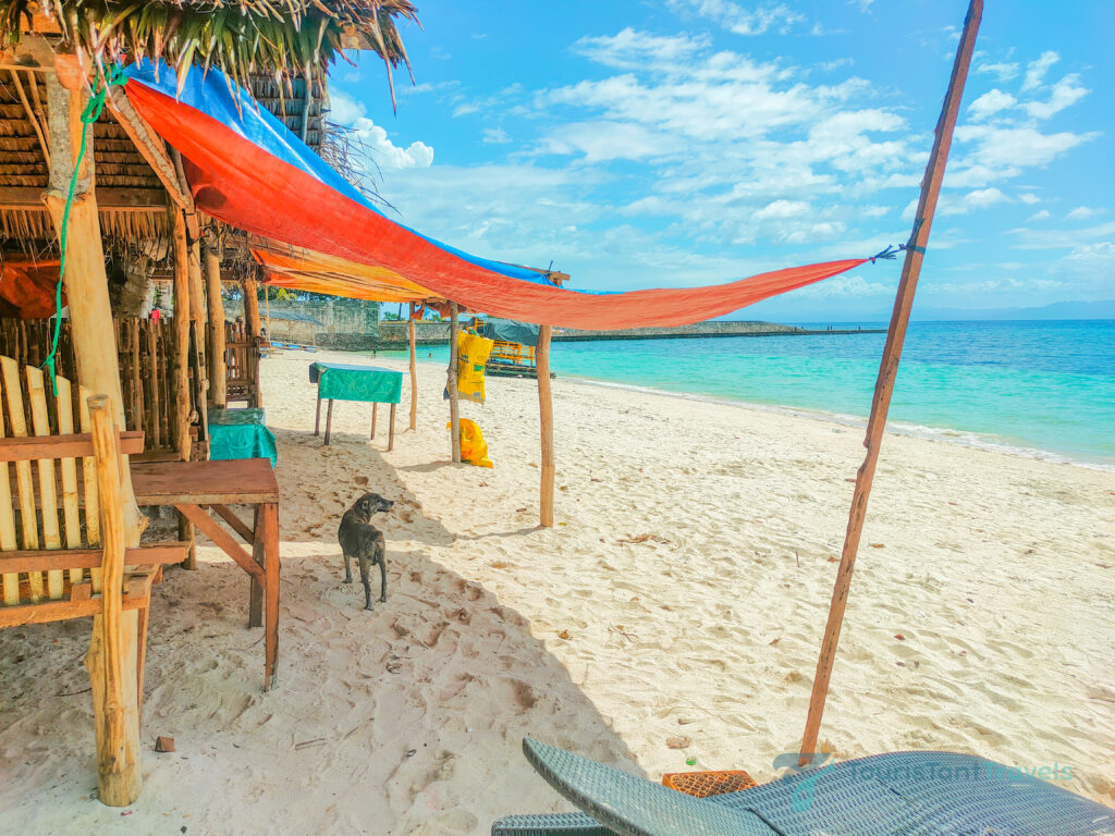 A cottage on the beach front with a dog.